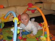 IMG 4238