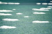 Dead Sea salt deposits on the rocks