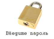 DSC02494