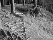 IMG 1683-����-��