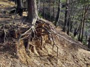 IMG 1684-����