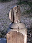 IMG 1687-����