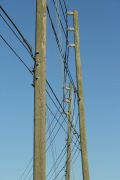 IMG 4841-