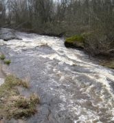IMG 0439-