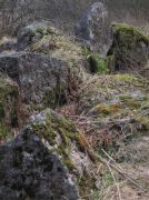 IMG 0449-
