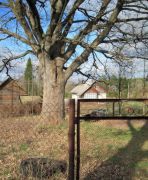 IMG 0480-