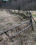 IMG 0485-