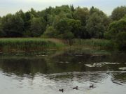 ������ �����