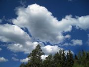 IMG 0543-