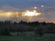 IMG 0637-