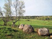 IMG 0696-