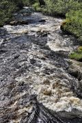 IMG 8403-