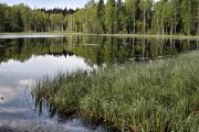 IMG 8409-