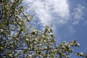 IMG 8433-