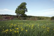 IMG 8498-