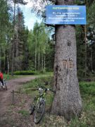 IMG 0794-