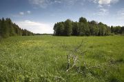 IMG 8626-
