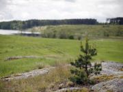IMG 8696-
