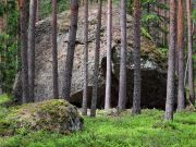 IMG 0854-