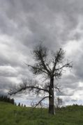 IMG 8707-1-