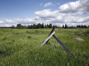 IMG 8769-