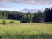 IMG 0904-