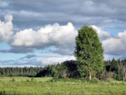 IMG 0908-