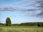 IMG 0912-