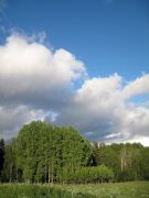 IMG 0920-