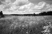 IMG 8810-