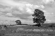 IMG 8826-