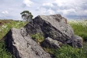 IMG 8833-