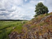IMG 8845-