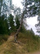 ������ �� ����� ...