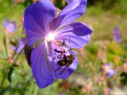 DSCF3735-����