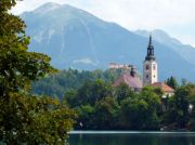 ����� ����