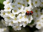 ������-�������