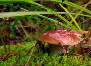 �٨ �����...