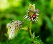 �������� � �����