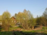 DSCN4171