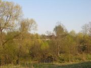 DSCN4190