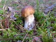 ��� ��� ����� ?