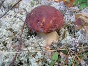 �� ���....