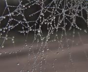 ��������� �����