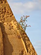 ����� �� �����