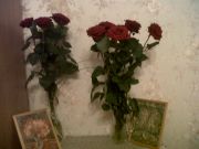 ������ 1