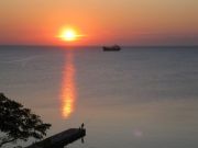 ������� � �������� �������� 2010