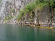 DSC03722-1