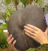 ������ �����