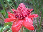 ��������� �������